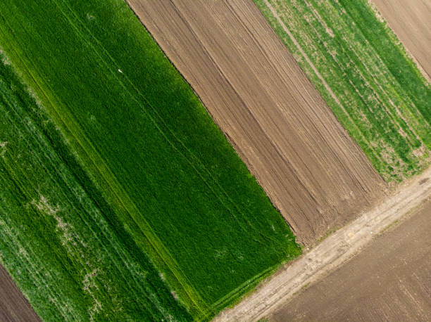 istock Aerial view from drone of agriculture fields ready for seeding 1215535677