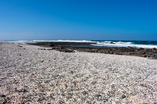Popcorn Beach in Corralejo, Fuerteventura, Canary Islands, Spain. Beautiful landscape on Coast od Atlantic ocean
