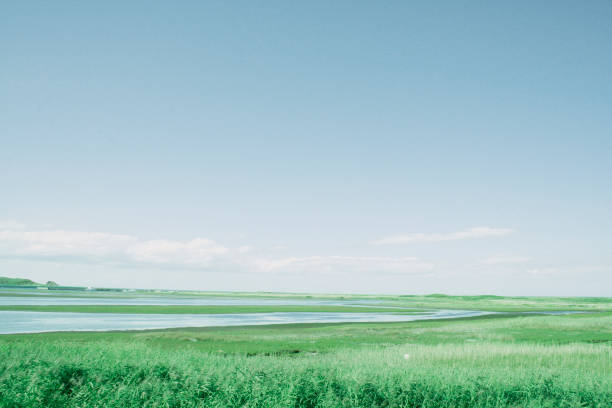 日本の水平青空と草原 - 丘 ストックフォトと画像