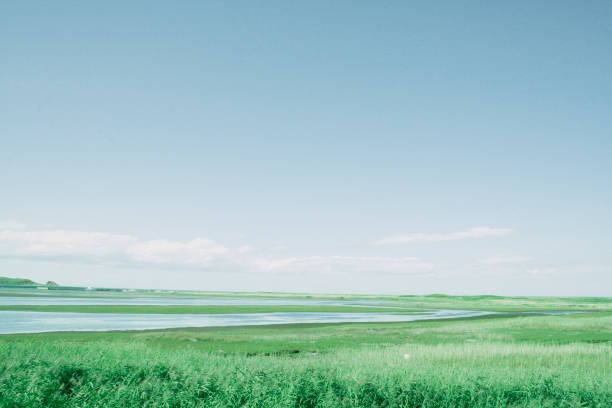 horizontal blue sky and grassland of Japan