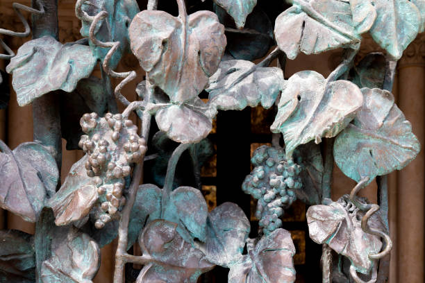 wrought-iron grille showing the vines, Pecs, Hungary