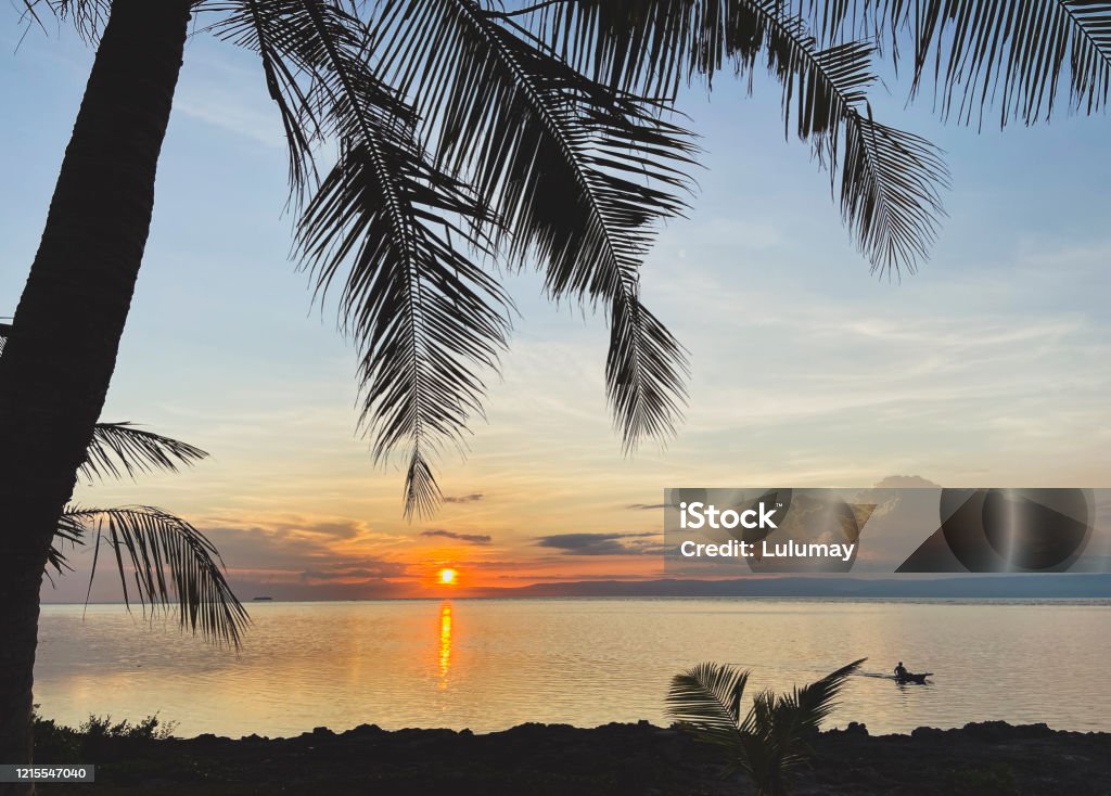 Beautiful sunrise,sunset.Palm tree on rocky coast.Man floating in boat on sea Magical landscape of a beautiful sunrise, sunset. Palm tree standing on a rocky coast. A man floating in a boat on the sea. Adult Stock Photo