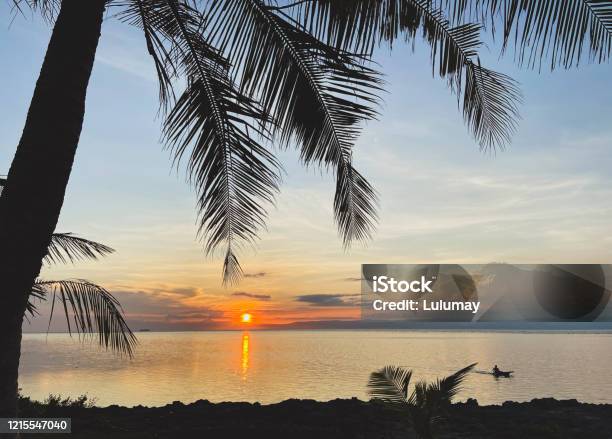 Beautiful Sunrisesunsetpalm Tree On Rocky Coastman Floating In Boat On Sea Stock Photo - Download Image Now