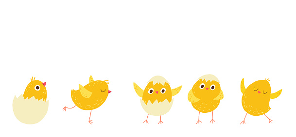 Divertido recién nacido de dibujos animados pollito saliendo del huevo vector gratis Divertido recién nacido de dibujos animados pollito saliendo del huevo vector gratis