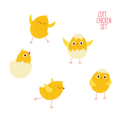 Divertido recién nacido de dibujos animados pollito saliendo del huevo vector gratis Divertido recién nacido de dibujos animados pollito saliendo del huevo vector gratis