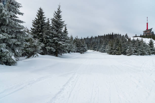 Lysa hora hill in winter Moravskoslezske Beskydy mountains in Czech republic Lysa hora hill in Moravskoslezske Beskydy mountains in Czech republic during winter day moravian silesian beskids photos stock pictures, royalty-free photos & images
