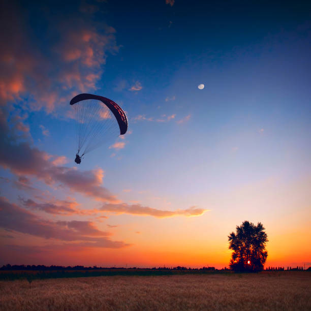 The City of Victoria on Vancouver Island  on October 19, 2018:  Man Paragliding along the coastline of Victoria at sunset on Vancouver Island,  British Columbia