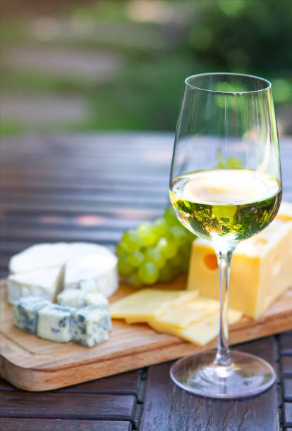 istock Tasty appetizer for white wine on picnic in garden 1215554022