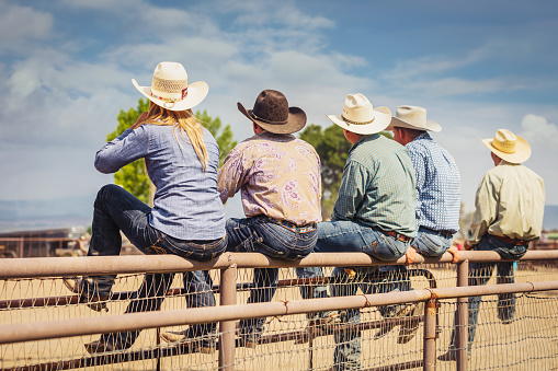 Watching a Western Rodeo Training. Cowgirls and Cowboys sitting together side by side on gate fence watching the Rodeo training inside the. Real People Portrait. Spanish Fork, Utah, USA.