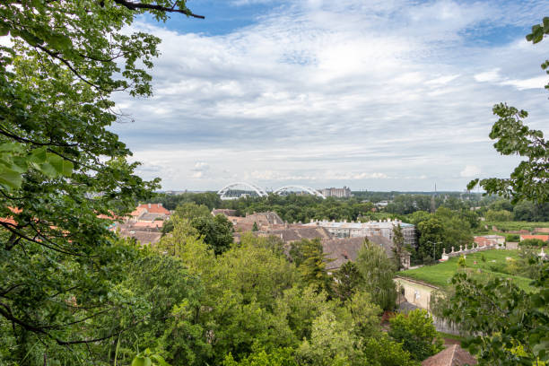 istock Zezelj bridge on river Danube in Novi Sad 1215554466