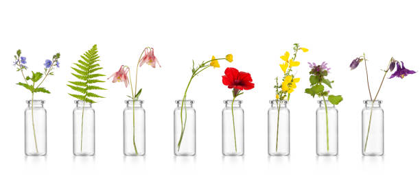 istock Natural remedies, bottle - bach. 1215556400