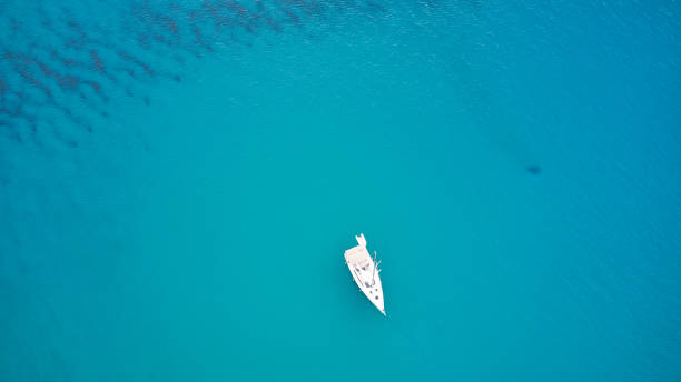 istock longboarder waiting in blue water 1215556486