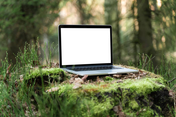 Laptop outside concept. Empty copy space, blank screen mockup. Soft focus laptop in nature background. Ecology travel and work outside office concept stock photo