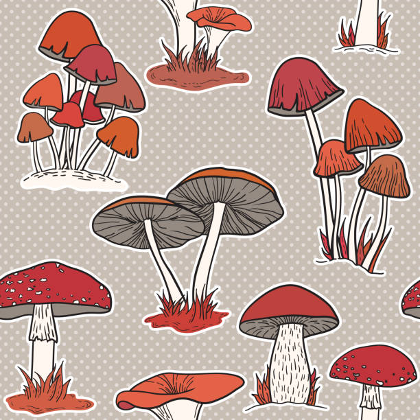 ilustraciones, imágenes clip art, dibujos animados e iconos de stock de coloridos hongos patrón vectorial sin costuras - edible mushroom illustrations