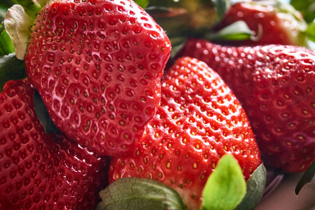 delicious strawberries from spain ready to eat - antioxidant medicine closed close to imagens e fotografias de stock