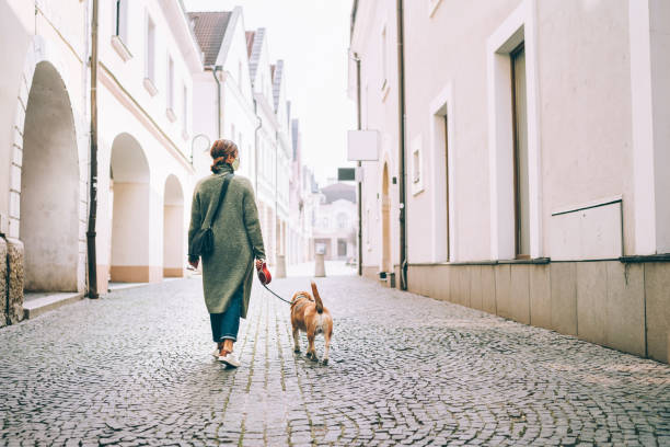 istock Young female fancy-dressed using a face mask as a coronavirus spreading prevention walking with her beagle dog on deserted old European squares and streets. Global COVID-19 pandemic concept image. 1215559211