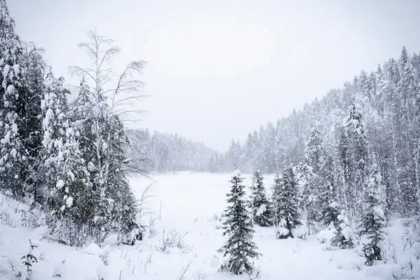 A frozen lake at the Ruka ski resort, Finland.