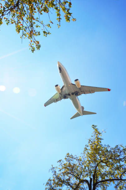 istock Airplane in blue sky with frame from leaves 1215562452