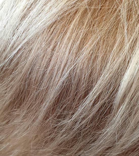 istock blond hair closeup background 1215564102