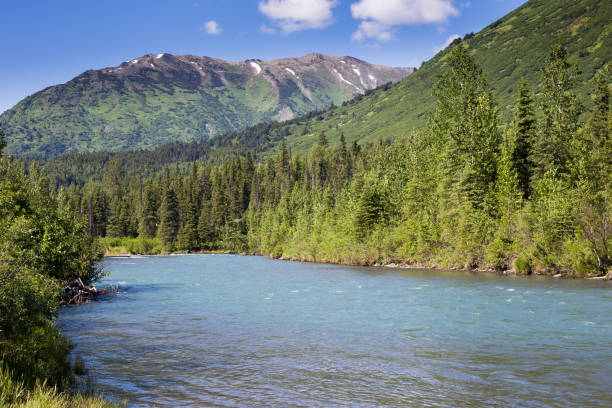 istock River with tree lined banks, mountains in the background 1215564799