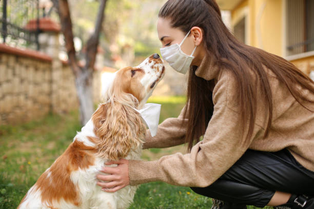 Chinese Coronavirus 2019-nCoV dangerous for pets stock photo