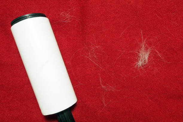 istock Lint remover roller on red fabric and cat hair, top view. 1215569260