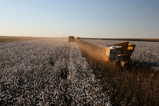 A cotton picker harvests a cotton field in Brazil