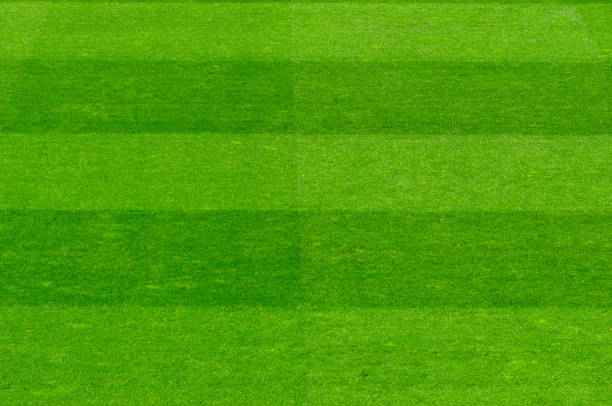 istock Empty soccer's field at the stadium during isolation period 1215571117