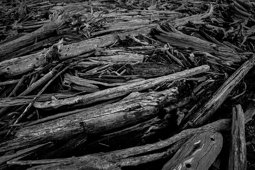 This black and white image shows a mass of driftwood at a beach.