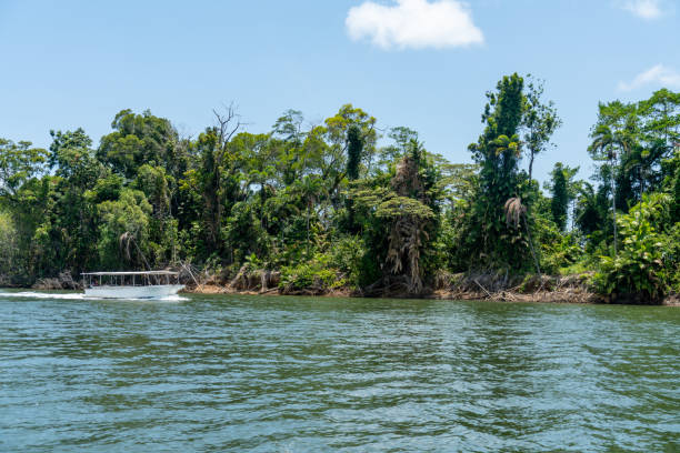 Daintree River tour in Queensland, Australia