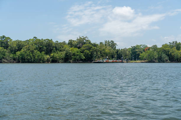 istock Daintree River tour in Queensland, Australia 1215575178