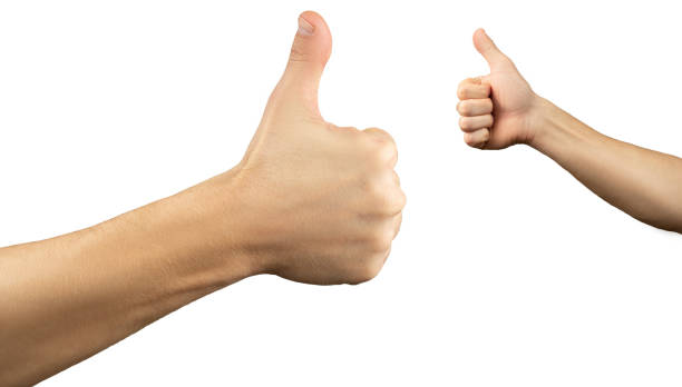 istock Hands show thumb up on a white isolated background 1215577852