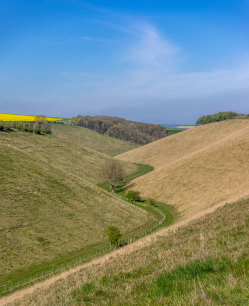 istock Horse Dale in the Yorkshire Wolds 1215580128