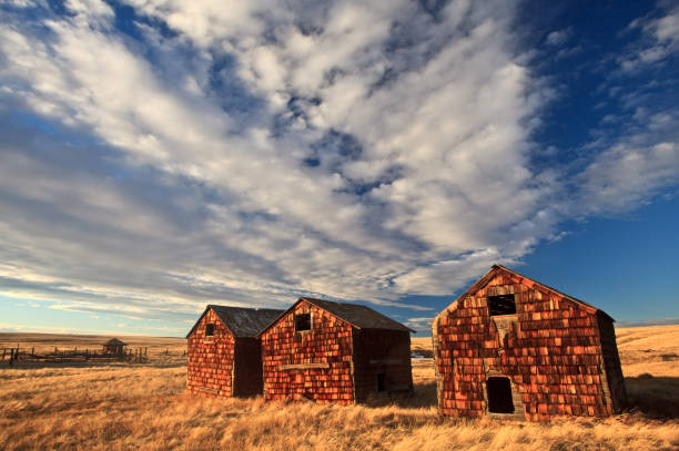 istock Abandoned Sheds on the Great Plains 1215580876