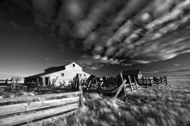 istock Abandoned Farm on the Great Plains in Black and White 1215580910