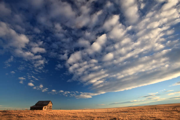 istock Abandoned House on the Great Plains 1215580957