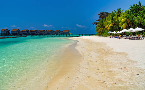 istock Somewhere in the Maldives. 1215582229