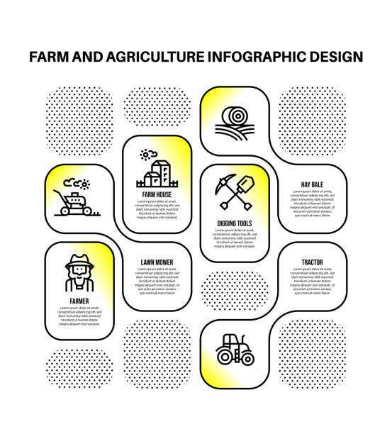 농장 및 농업 키워드 및 아이콘이 있는 인포그래픽 디자인 템플릿 - stubble stock illustrations