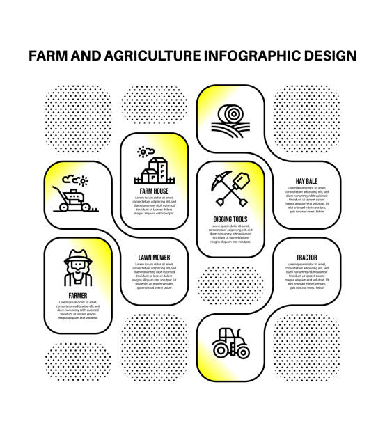 ilustrações, clipart, desenhos animados e ícones de modelo de design infográfico com palavras-chave e ícones agrícolas - stubble