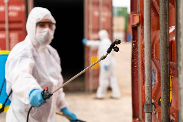 istock People wearing protective suits spray disinfectant chemicals on the cargo container to prevent the spreading of the coronavirus. 1215588487