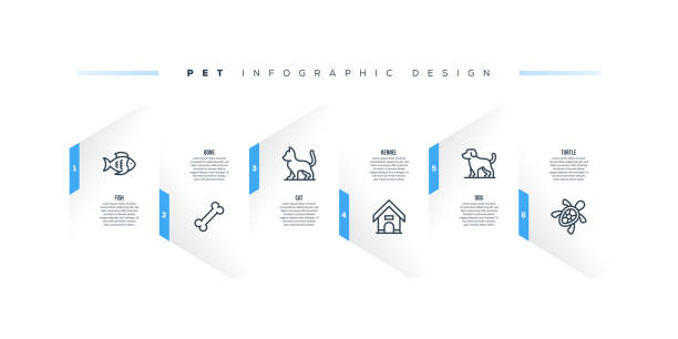 infografik-designvorlage mit pet-schlüsselwörtern und symbolen - hund grafiken stock-grafiken, -clipart, -cartoons und -symbole