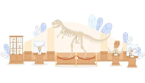 Vector illustration of Paleontological Museum Tyrannosaurus Skeleton