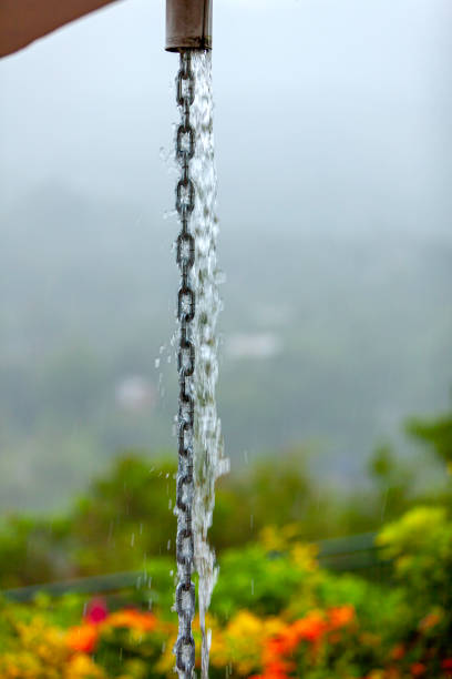 It is raining heavily on the Andes Mountains in Colombia. Image of rainwater flowing from a rooftop drain. The water is guided by a metal chain to control the direction of the flow. Vertical image; no people. Copy space.