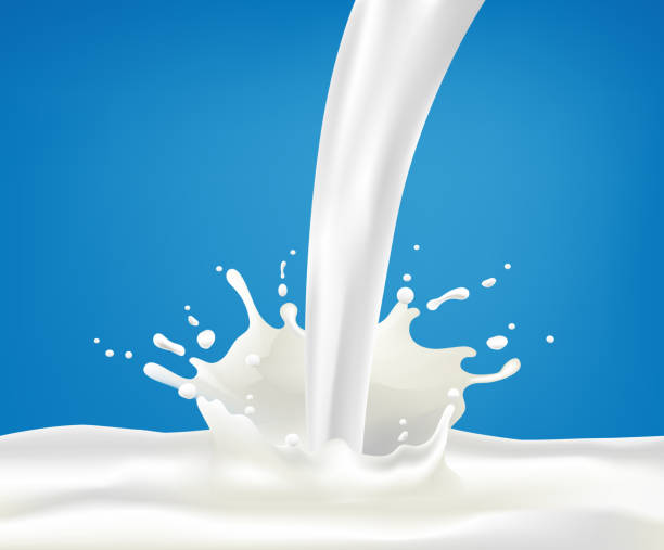 ilustrações de stock, clip art, desenhos animados e ícones de milk splash and pouring, white splatter on blue background, realistic healthy drink yogurt or cream motion. vector - dairy farm liquid food and drink splashing