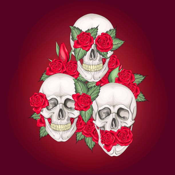 Vector illustration of human skulls with flowers roses I dont say I do not see I do not hear Vector illustration of human skulls with flowers roses I dont say I do not see I do not hear on a red background snake anatomy stock illustrations
