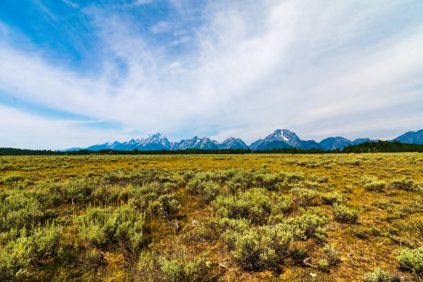 istock Grand Teton National Park 1215602192