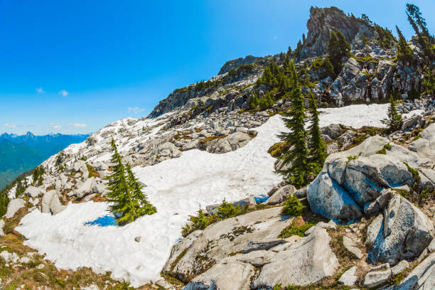 캐스케이드 산맥의 필척 산 - north cascades national park aerial view washington state usa 뉴스 사진 이미지