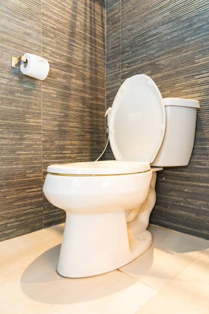 istock Luxury clean white toilet bowl seat 1215605813