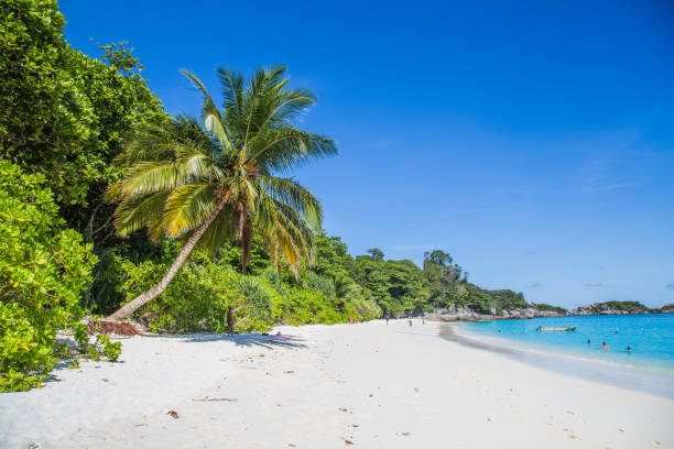 istock Similan island views from the beach and above, in Thailand 1215606817