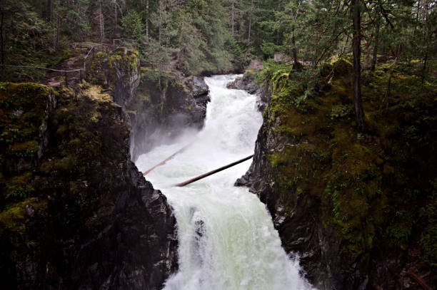 istock Fast Flowing Stream of Water 1215610625